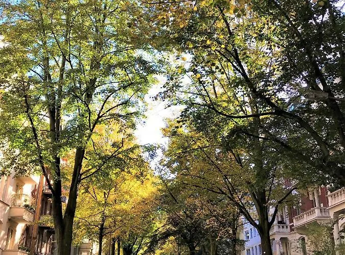 Cute & Cozy 公寓 *